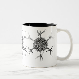 Caneca De Café Em Dois Tons Haeckel