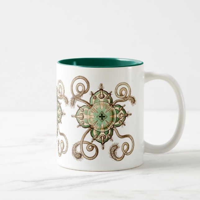 Caneca De Café Em Dois Tons Haeckel (Direita)