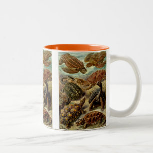 Caneca De Café Em Dois Tons Haeckel Turtles