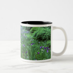 Caneca De Café Em Dois Tons Hana Shobu (Japonês Water Iris), Santuário Meiji