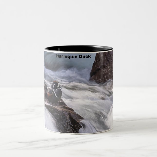 Caneca De Café Em Dois Tons Harlequin Duck (Centro)