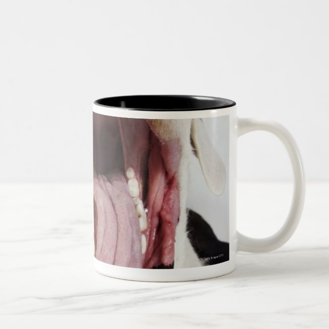 Caneca De Café Em Dois Tons Harlequin great dane com boca aberta, fim-acima, (Direita)
