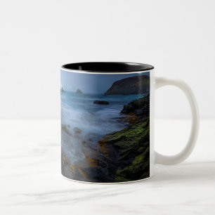 Caneca De Café Em Dois Tons Harris encalha o parque estadual   Oregon