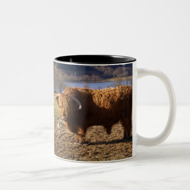 Caneca De Café Em Dois Tons Highland Cattle Bull, Escócia (Direita)