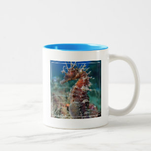 Caneca De Café Em Dois Tons Hipocampo Ramulosus do cavalo de mar  
