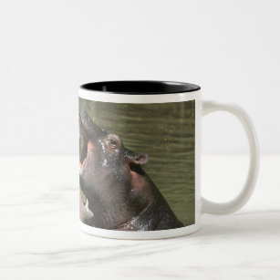 Caneca De Café Em Dois Tons Hippopotamus, (amphibius do H.), mãe & jovens