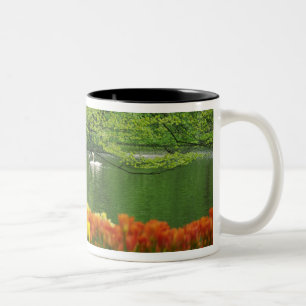 Caneca De Café Em Dois Tons Holanda, Lisse. Cisnes brancas no meio do lago