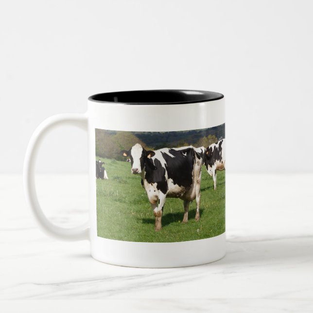 Caneca De Café Em Dois Tons Holstein cows in a field in Brittany (Esquerda)