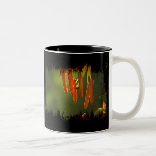 Caneca De Café Em Dois Tons Humboldt Lily Stamens (Direita)