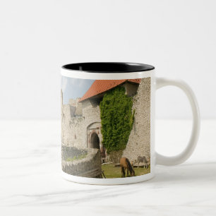 Caneca De Café Em Dois Tons HUNGRIA, Região do Lago Balaton, SUMEG: Sumeg