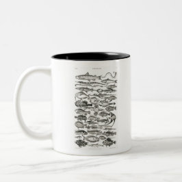 Caneca De Café Em Dois Tons Ichtiologictiologia, peixes, oceanos, ictiólogo