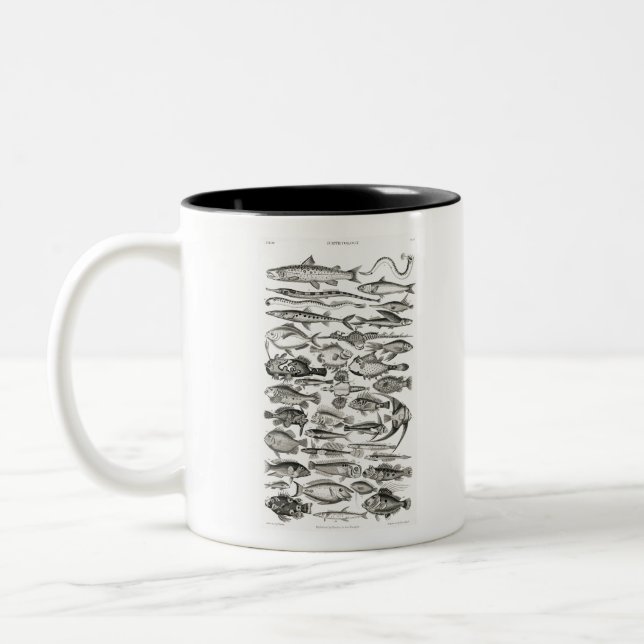 Caneca De Café Em Dois Tons Ichtiologictiologia, peixes, oceanos, ictiólogo (Esquerda)