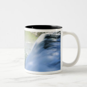 Caneca De Café Em Dois Tons Idaho. EUA. Arco-íris na névoa acima de Upper Mesa