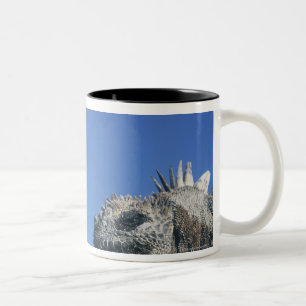 Caneca De Café Em Dois Tons Iguana marinha