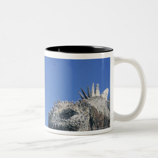 Caneca De Café Em Dois Tons Iguana marinha (Direita)