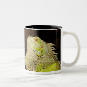 Caneca De Café Em Dois Tons Iguana verde (iguana da iguana)