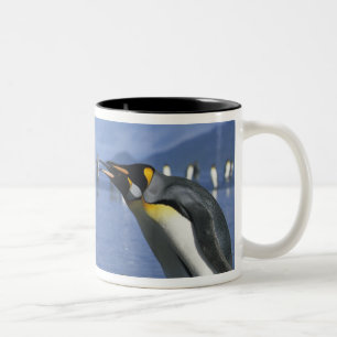 Caneca De Café Em Dois Tons Ilha da Geórgia do Sul, Baía de St. Andrews, Rei