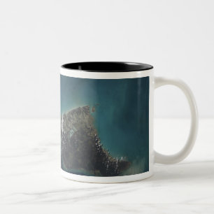 Caneca De Café Em Dois Tons Ilha de Andros das Bahamas