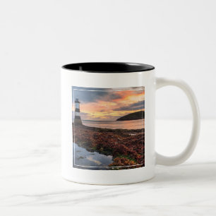 Caneca De Café Em Dois Tons Ilha do papagaio-do-mar do nascer do sol do