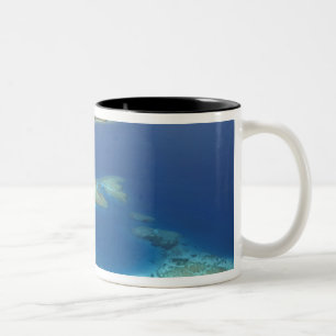 Caneca De Café Em Dois Tons Ilha Matamanoa e recife de corais, Ilha de Mamanuc