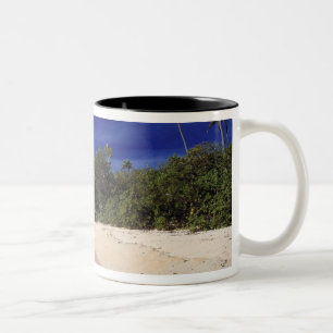 Caneca De Café Em Dois Tons Ilhas Fiji, Tavarua. Esta praia em Tavarua,