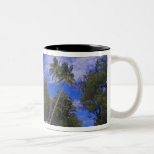 Caneca De Café Em Dois Tons Ilhas Rochosas Palau