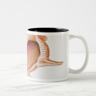 Caneca De Café Em Dois Tons Ilustração do escudo do Murex