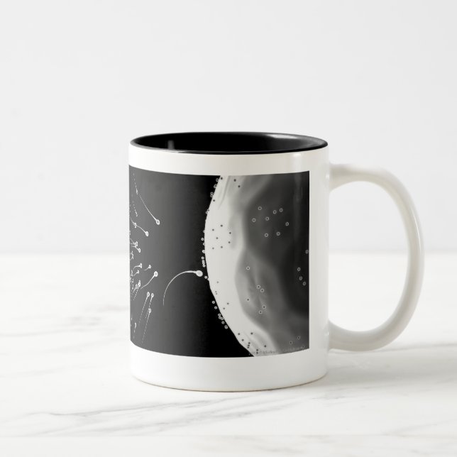 Caneca De Café Em Dois Tons Ilustração preto e branco da fecundação (Direita)