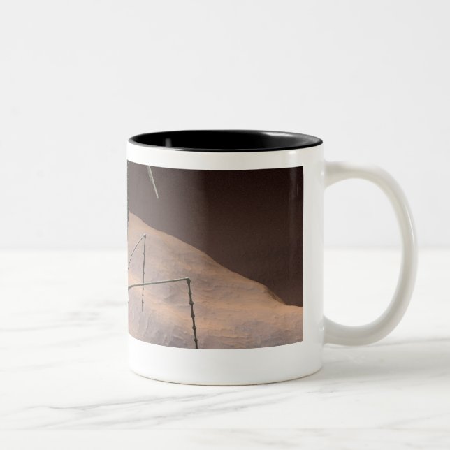 Caneca De Café Em Dois Tons Ilustração realística do bacteriófago (Direita)
