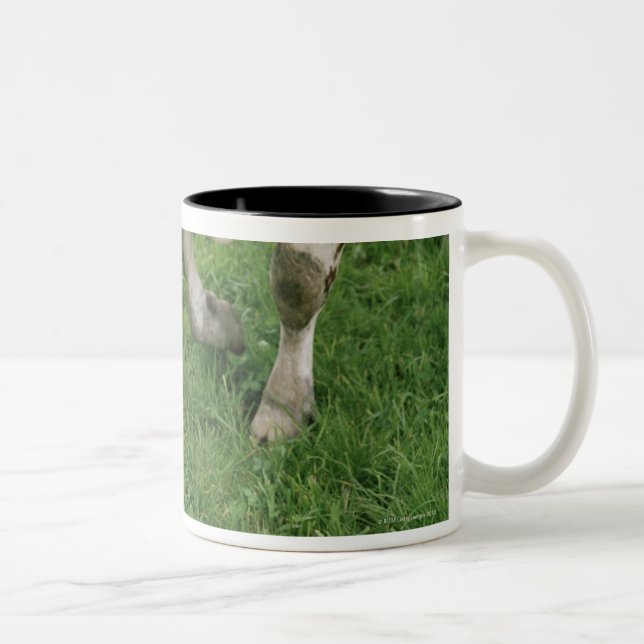 Caneca De Café Em Dois Tons ima28991 (Direita)