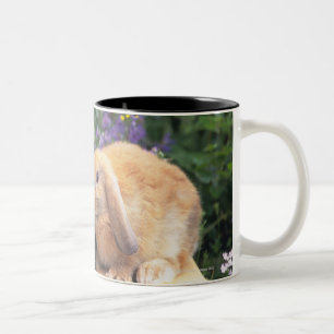 Caneca De Café Em Dois Tons Imagem de um gatinho e de uma posição do coelho