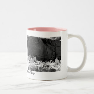 Caneca De Café Em Dois Tons Imagens do parque nacional 2 do Mesa Verde