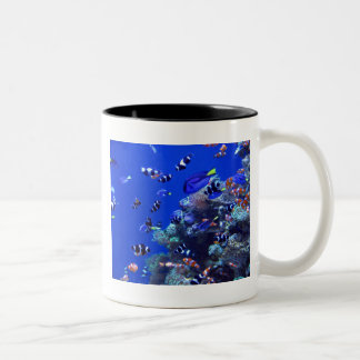 CANECA DE CAFÉ EM DOIS TONS IMG_0829