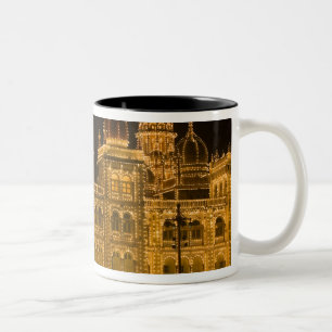 Caneca De Café Em Dois Tons ÍNDIA, Karnataka, Mysore : Palácio de Majaraja (