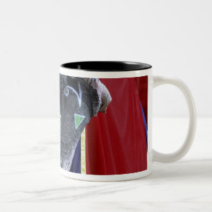 Caneca De Café Em Dois Tons Índia, Rajasthan, Jaipur. Forte de Amber.