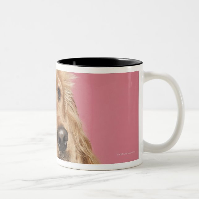 Caneca De Café Em Dois Tons Inglês cocker spaniel (10 meses velho) (Direita)