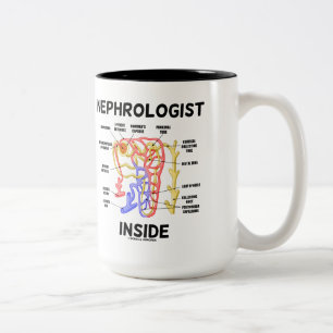 Caneca De Café Em Dois Tons Interior do Nephrologist (rim Nephron)