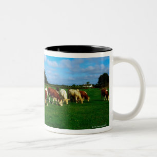 Caneca De Café Em Dois Tons Ireland, rebanho do gado que pasta