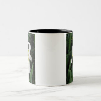 Caneca De Café Em Dois Tons Íris branca
