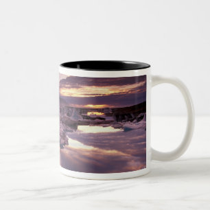 Caneca De Café Em Dois Tons Islândia, Lagoa Jokulsarlon, Paisagem