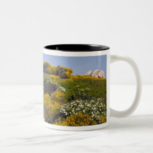 Caneca De Café Em Dois Tons Itália, Sardenha, Papais noeis Teresa Gallura. Ca