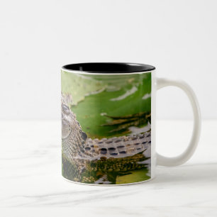 Caneca De Café Em Dois Tons Jacaré novo