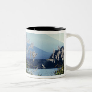 Caneca De Café Em Dois Tons Japão, Honshu, Yamanashi Pref., Fuji-Hakone-Izu