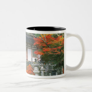 Caneca De Café Em Dois Tons Japão, Nara, Templo Ryuzenji