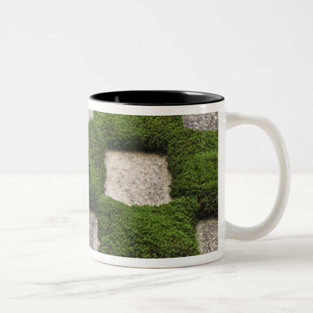 Caneca De Café Em Dois Tons Japão, Quioto, templo Tofukuji, Jardim (Direita)