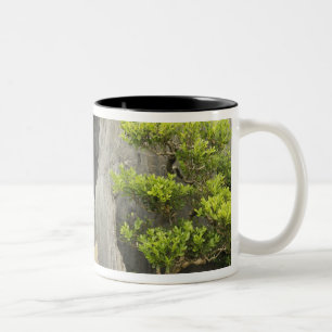 Caneca De Café Em Dois Tons Jardim da família Bao, Huangshan, China. 2