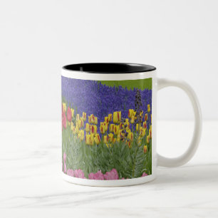 Caneca De Café Em Dois Tons Jardim de tulipas, jacintos e