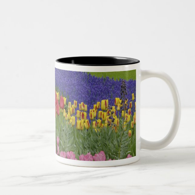 Caneca De Café Em Dois Tons Jardim de tulipas, jacintos e (Direita)