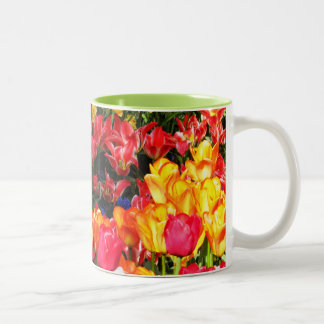 Caneca De Café Em Dois Tons Jardim ensolarado