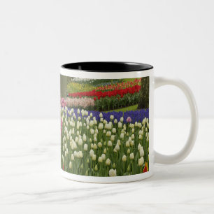 Caneca De Café Em Dois Tons Jardim Tulip e Hyacinth, Jardins Keukenhof,